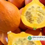 Bí Giọt Nước