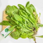 Cải bó xôi Đà Lạt – Rau Chân Vịt – Rau Cải Bina